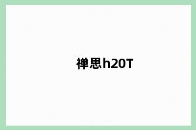 禅思h20T