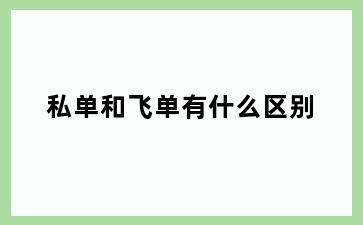 私单和飞单有什么区别