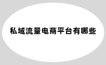 私域流量电商平台有哪些