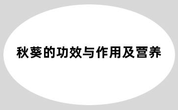 秋葵的功效与作用及营养