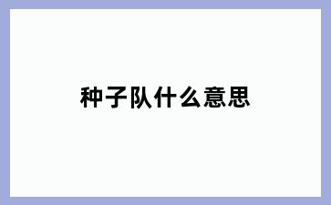 种子队什么意思