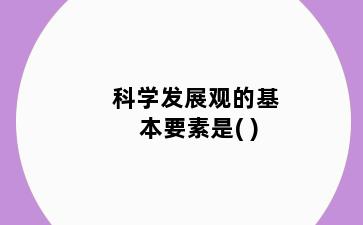 科学发展观的基本要素是( )