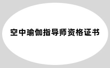 空中瑜伽指导师资格证书
