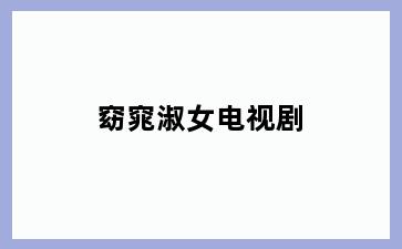 窈窕淑女电视剧