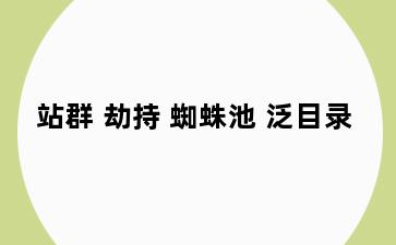 站群 劫持 蜘蛛池 泛目录