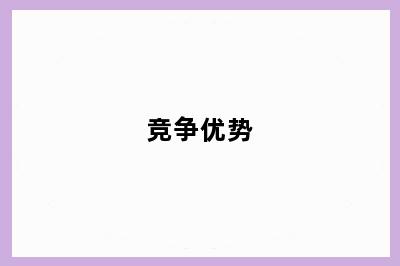 竞争优势