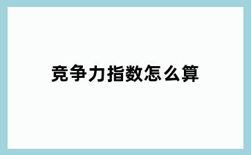 竞争力指数怎么算