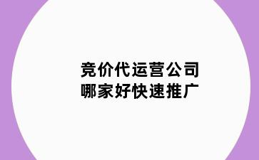 竞价代运营公司哪家好快速推广