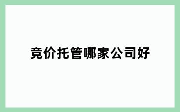 竞价托管哪家公司好