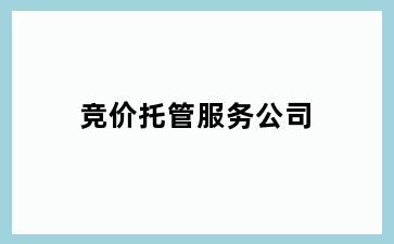 竞价托管服务公司