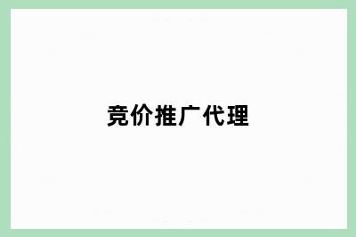 竞价推广代理