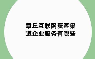 章丘互联网获客渠道企业服务有哪些
