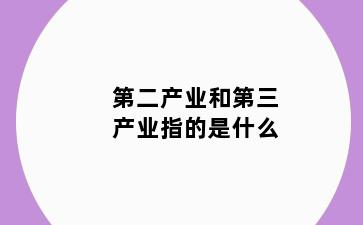 第二产业和第三产业指的是什么