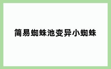 简易蜘蛛池变异小蜘蛛
