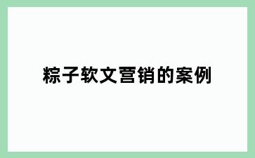 粽子软文营销的案例