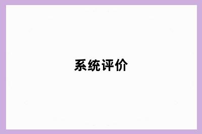 系统评价