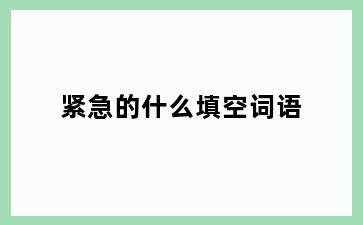 紧急的什么填空词语