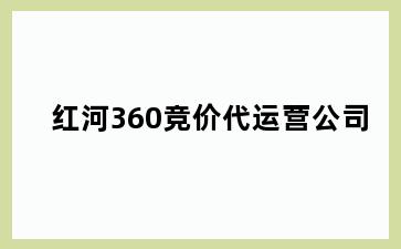 红河360竞价代运营公司