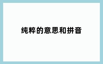 纯粹的意思和拼音