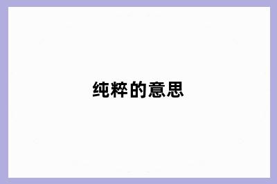 纯粹的意思