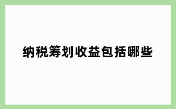 纳税筹划收益包括哪些