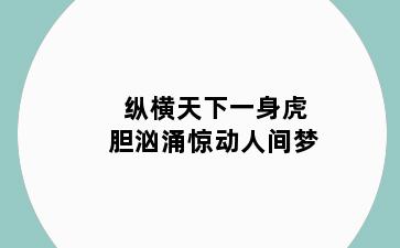 纵横天下一身虎胆汹涌惊动人间梦
