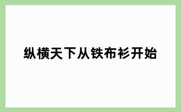 纵横天下从铁布衫开始