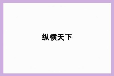 纵横天下