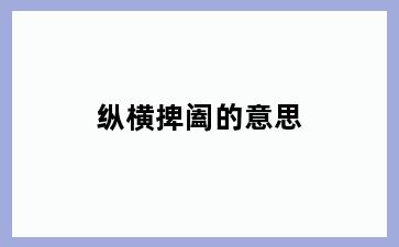 纵横捭阖的意思