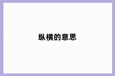 纵横的意思
