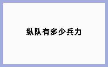 纵队有多少兵力
