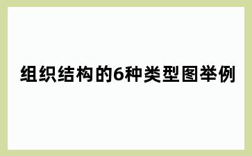 组织结构的6种类型图举例