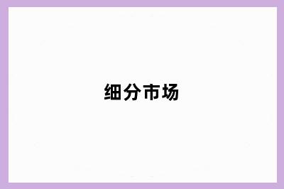 细分市场