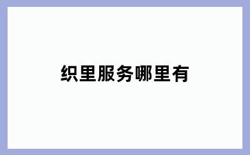 织里服务哪里有