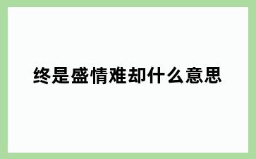 终是盛情难却什么意思