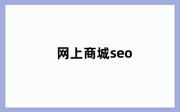 网上商城seo