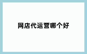 网店代运营哪个好