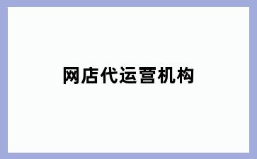 网店代运营机构