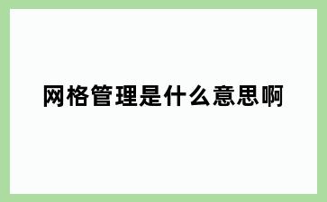 网格管理是什么意思啊