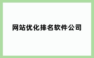 网站优化排名软件公司
