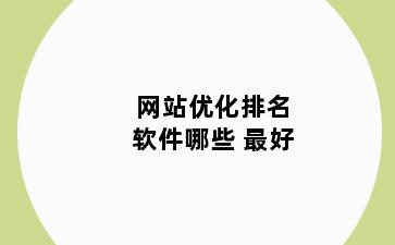 网站优化排名软件哪些 最好