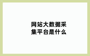 网站大数据采集平台是什么