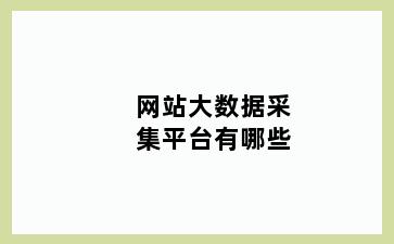 网站大数据采集平台有哪些