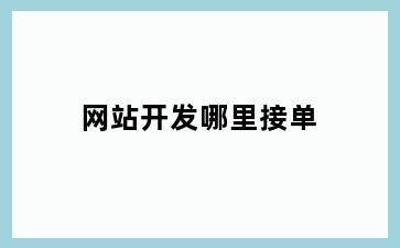 网站开发哪里接单