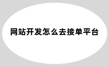 网站开发怎么去接单平台