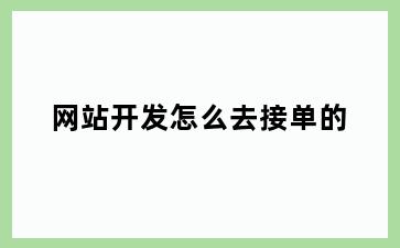 网站开发怎么去接单的