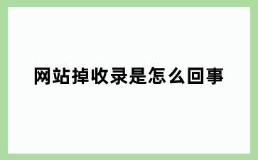 网站掉收录是怎么回事