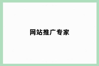 网站推广专家