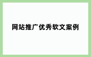 网站推广优秀软文案例