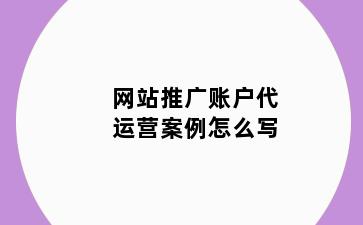 网站推广账户代运营案例怎么写